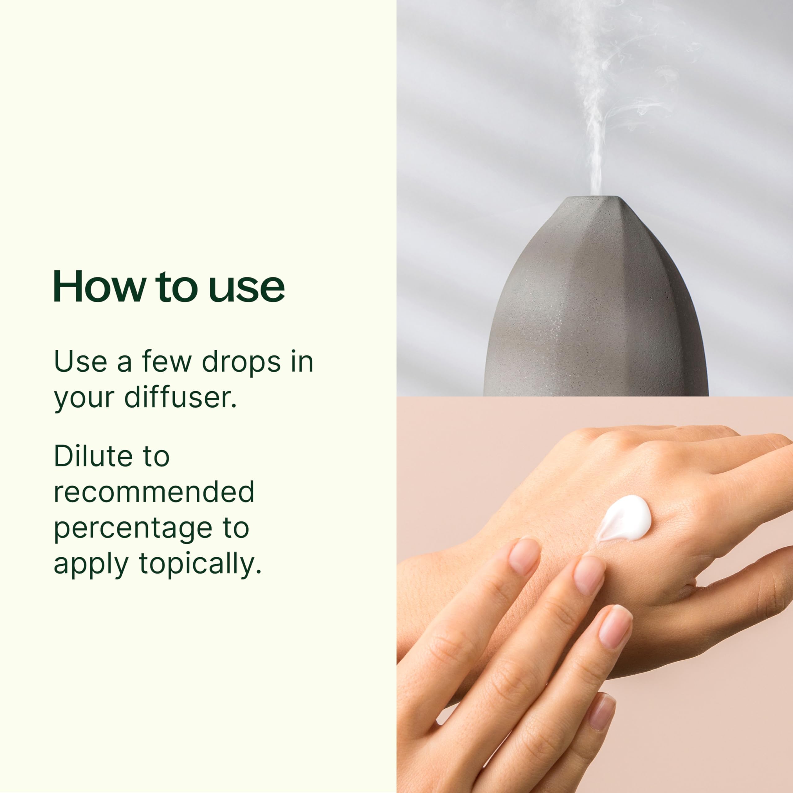 Plant Therapy Top 14 Aceites Esenciales limón botella: aroma cítrico para energía matutina