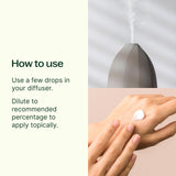 Plant Therapy Top 14 Aceites Esenciales limón botella: aroma cítrico para energía matutina