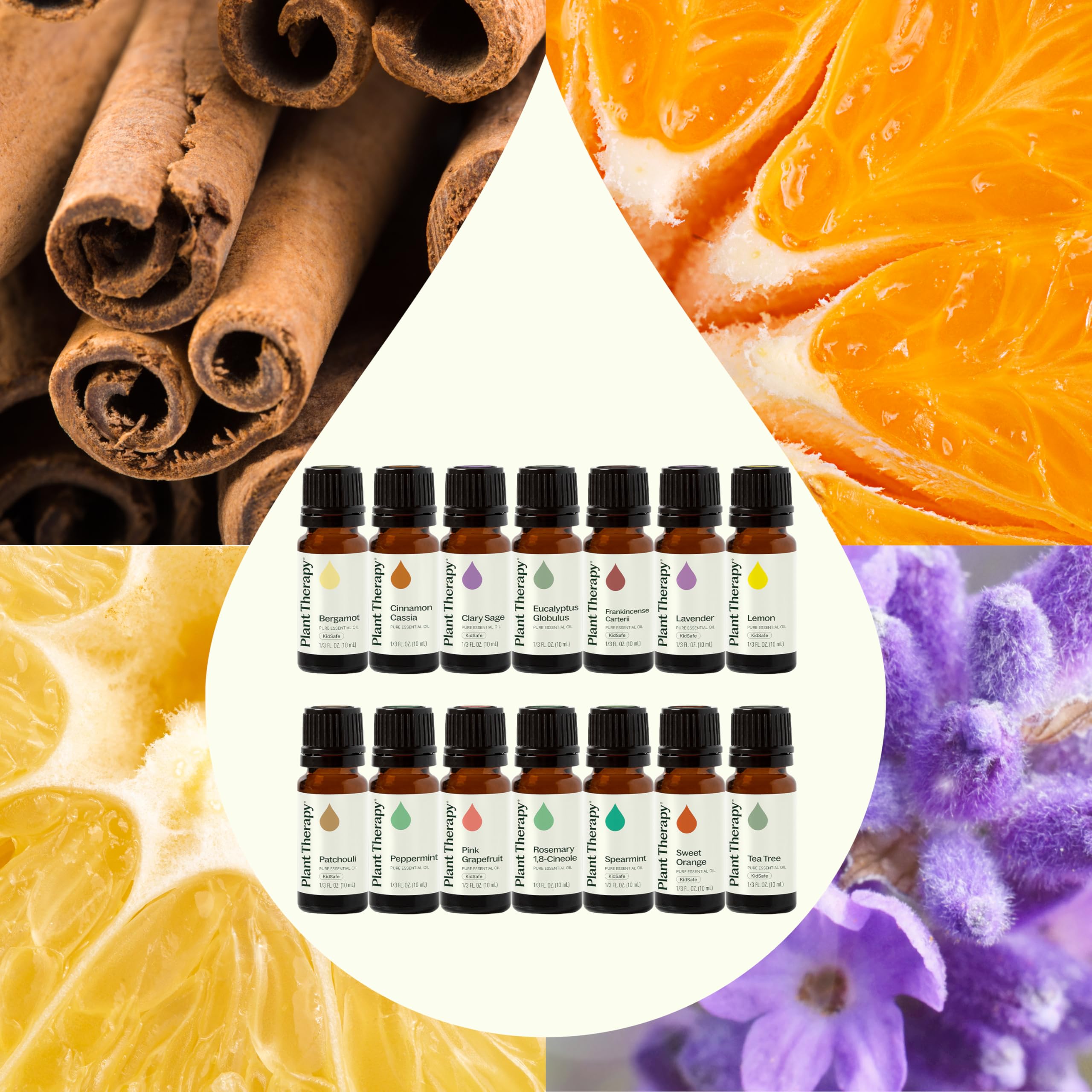Plant Therapy Top 14 Aceites Esenciales menta botella: sensación refrescante para foco