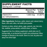 PlantFusion B12 Methyl 1000 mcg, dosis diaria fácil de usar.