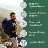 PlantFusion ingredientes orgánicos: mezcla de frutas y vegetales para nutrirse con alimentos reales.