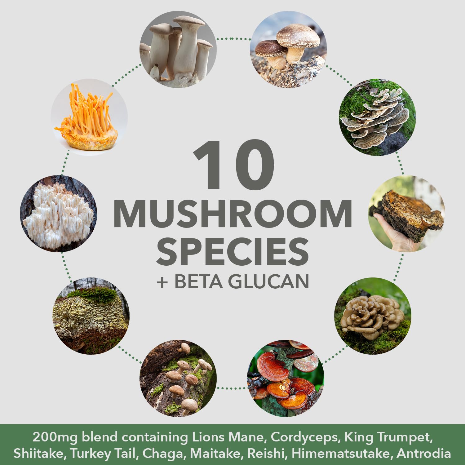 PlantFusion proteína vegetal completa 18 g por porción para aminoácidos esenciales.