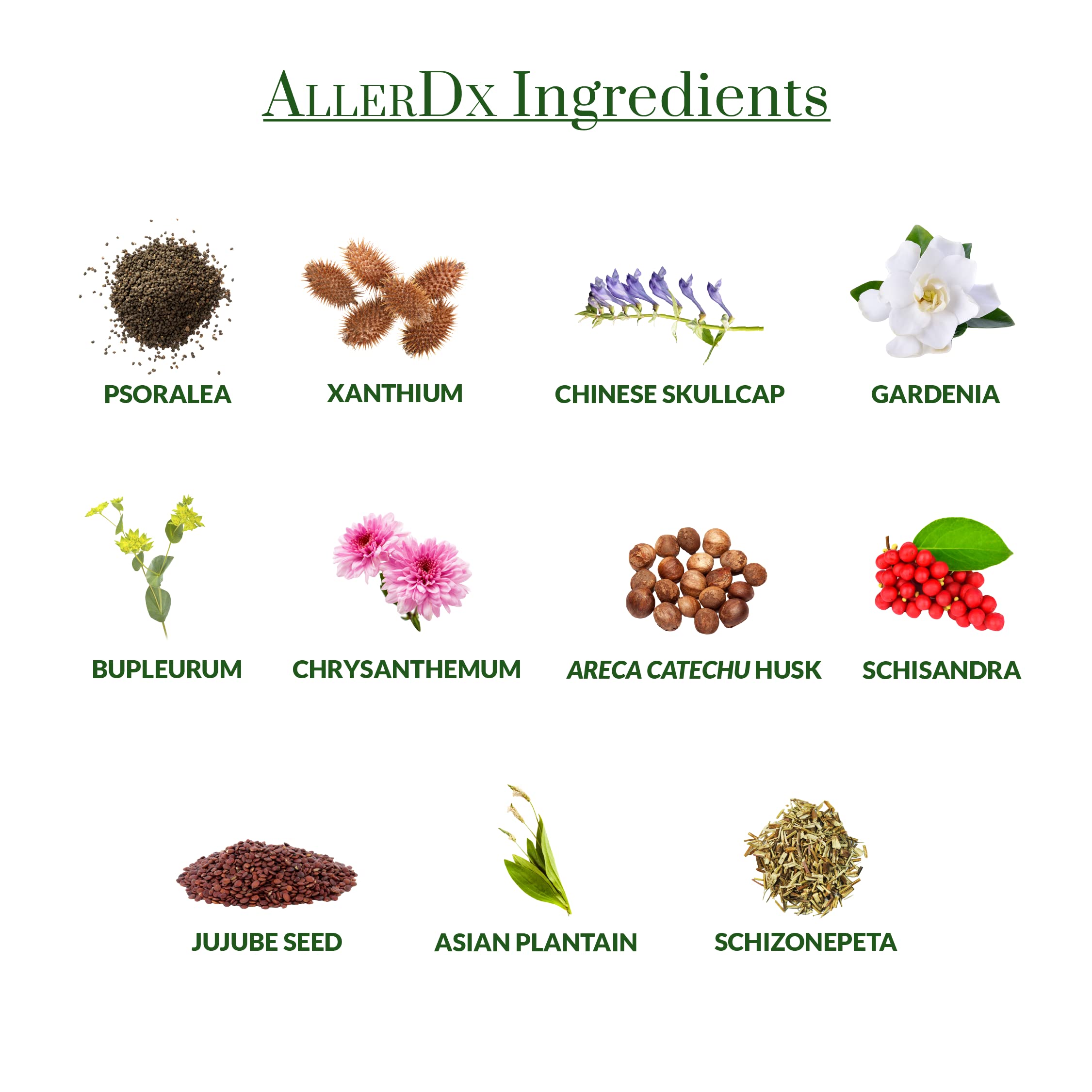 Plantiva AllerDx: etiqueta de ingredientes destacando mezcla herbal natural.