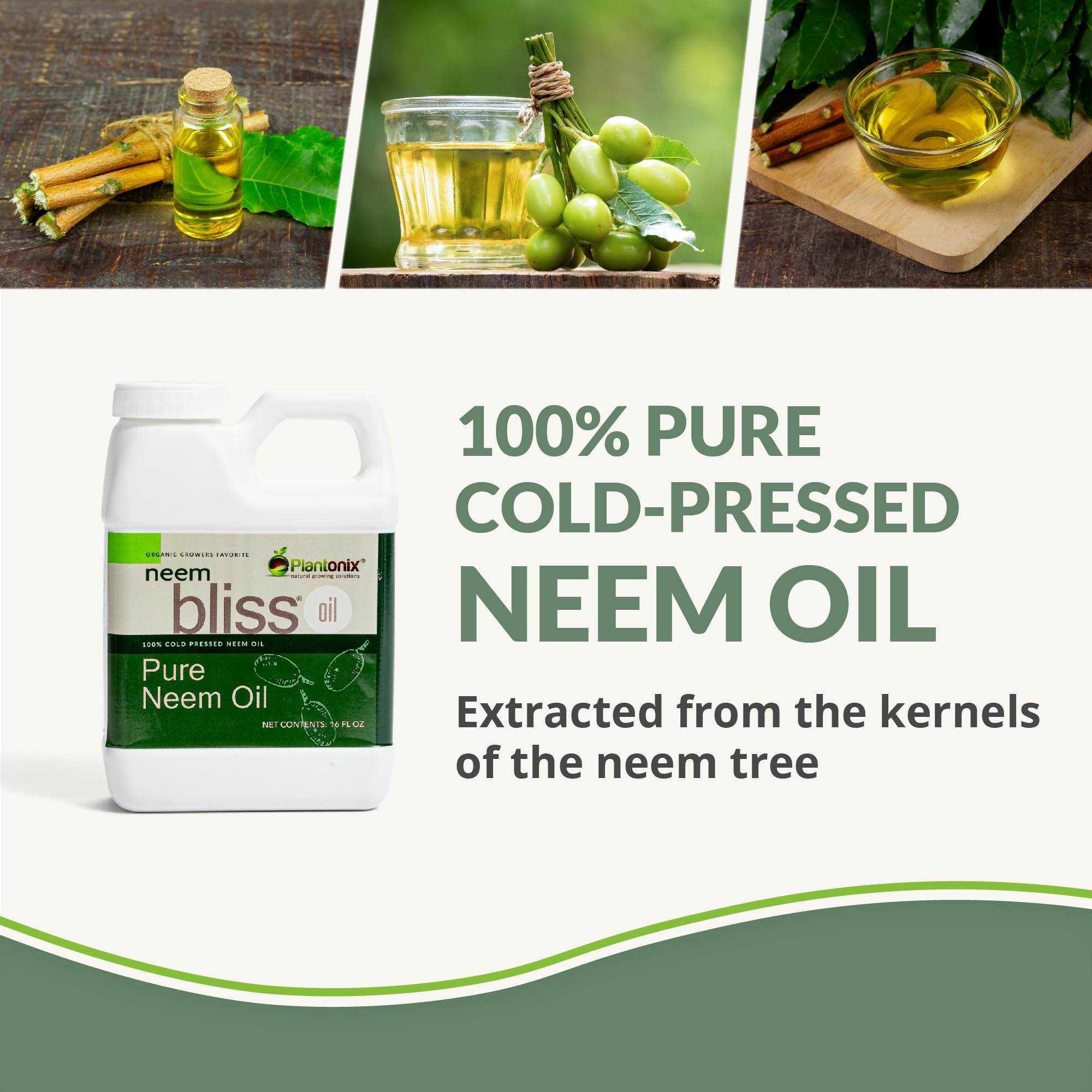 plantonix margosa prensado en frio conserva nutrientes y vitalidad del aceite