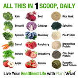 Plantvital mezcla proteína y verdes para un aporte nutricional en una sola dosis.