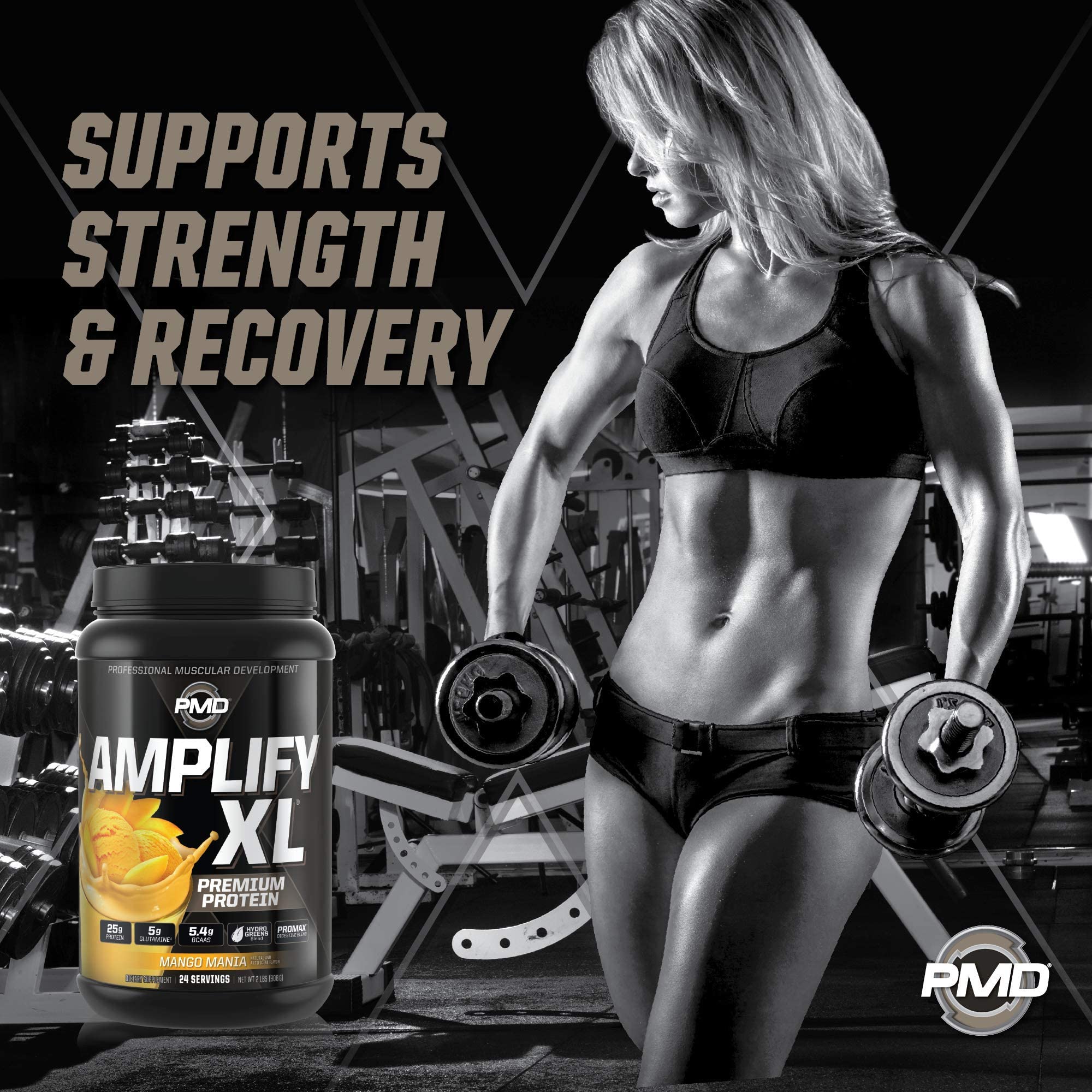 PMD Amplify XL mezcla de aminoácidos para desarrollo muscular dinámico