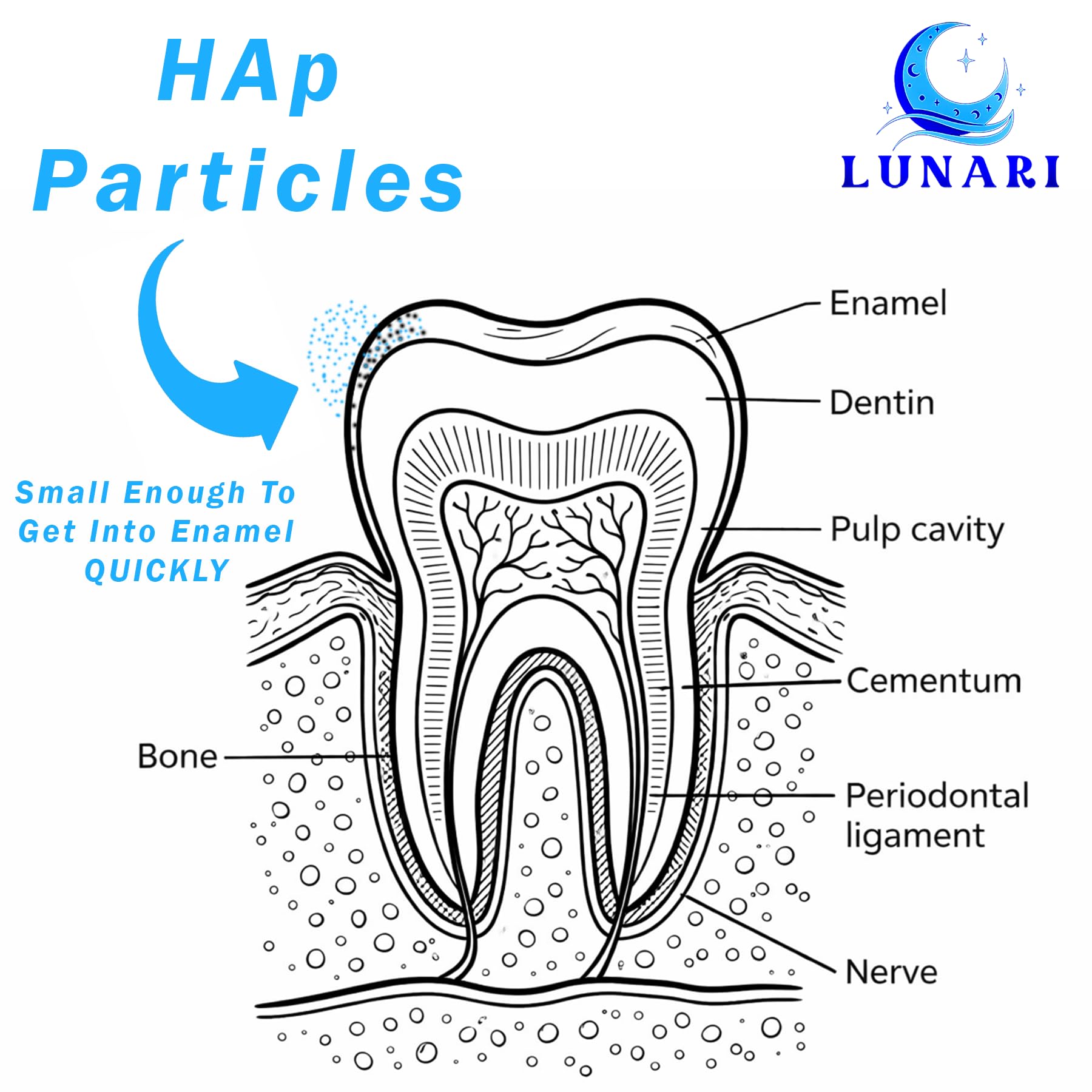 Polvo hidroxiapatita nano puro: defensa contra caries