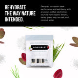 Possible electrolito ingredientes clave a base de plantas para hidratación natural