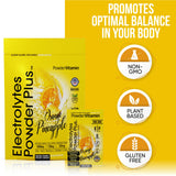 PowderVitamin Electrolytes Powder Plus potasio 1000 mg, soporte electrolítico para ejercicio