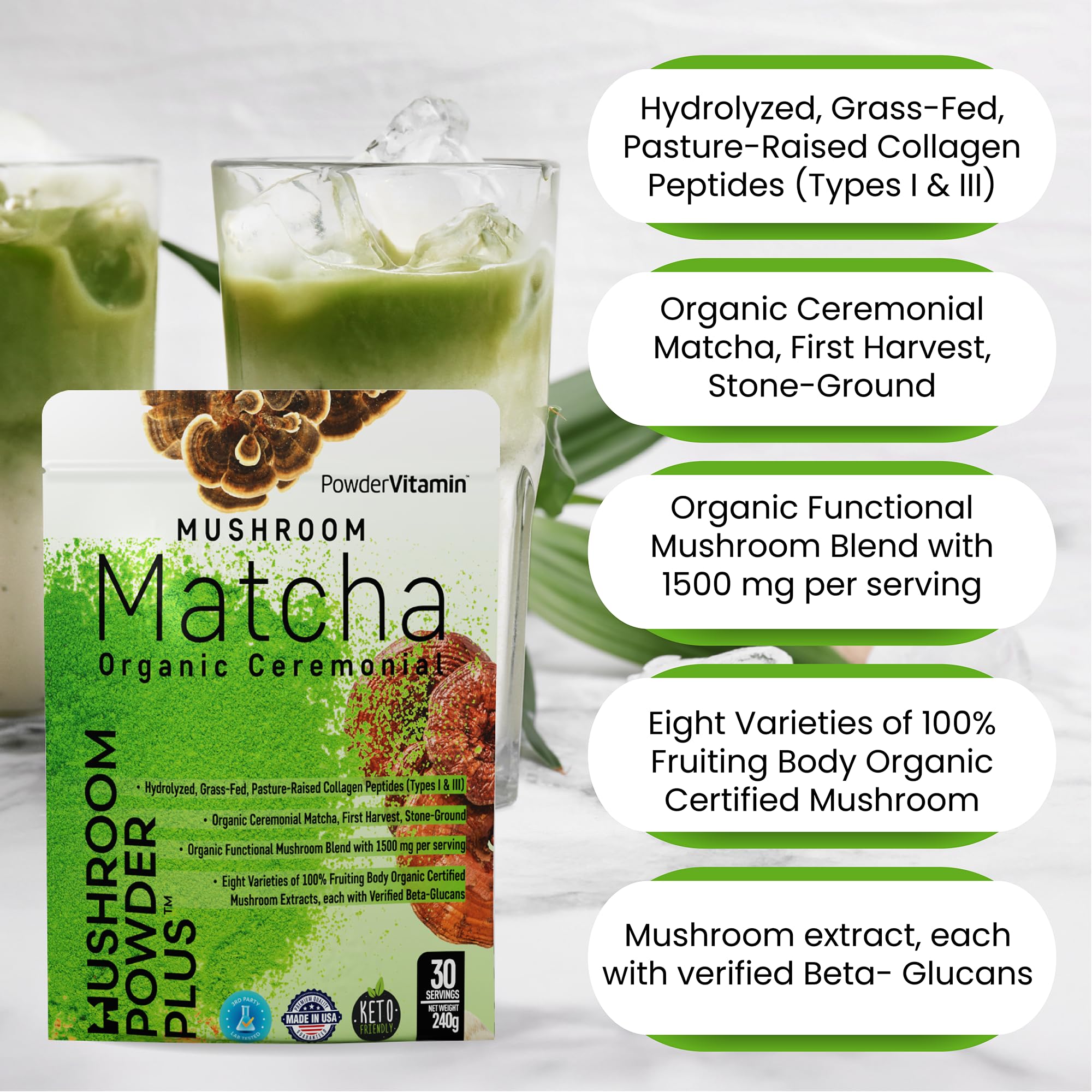 PowderVitamin Hongo chaga para una base antioxidante suave