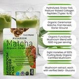PowderVitamin Hongo chaga para una base antioxidante suave