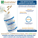 Power By Naturals Methyl Multi One P5P para mejor digeribilidad