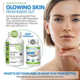 Power By Naturals SeaMoss Plus, batidos enriquecidos con musgo marino para nutrición.
