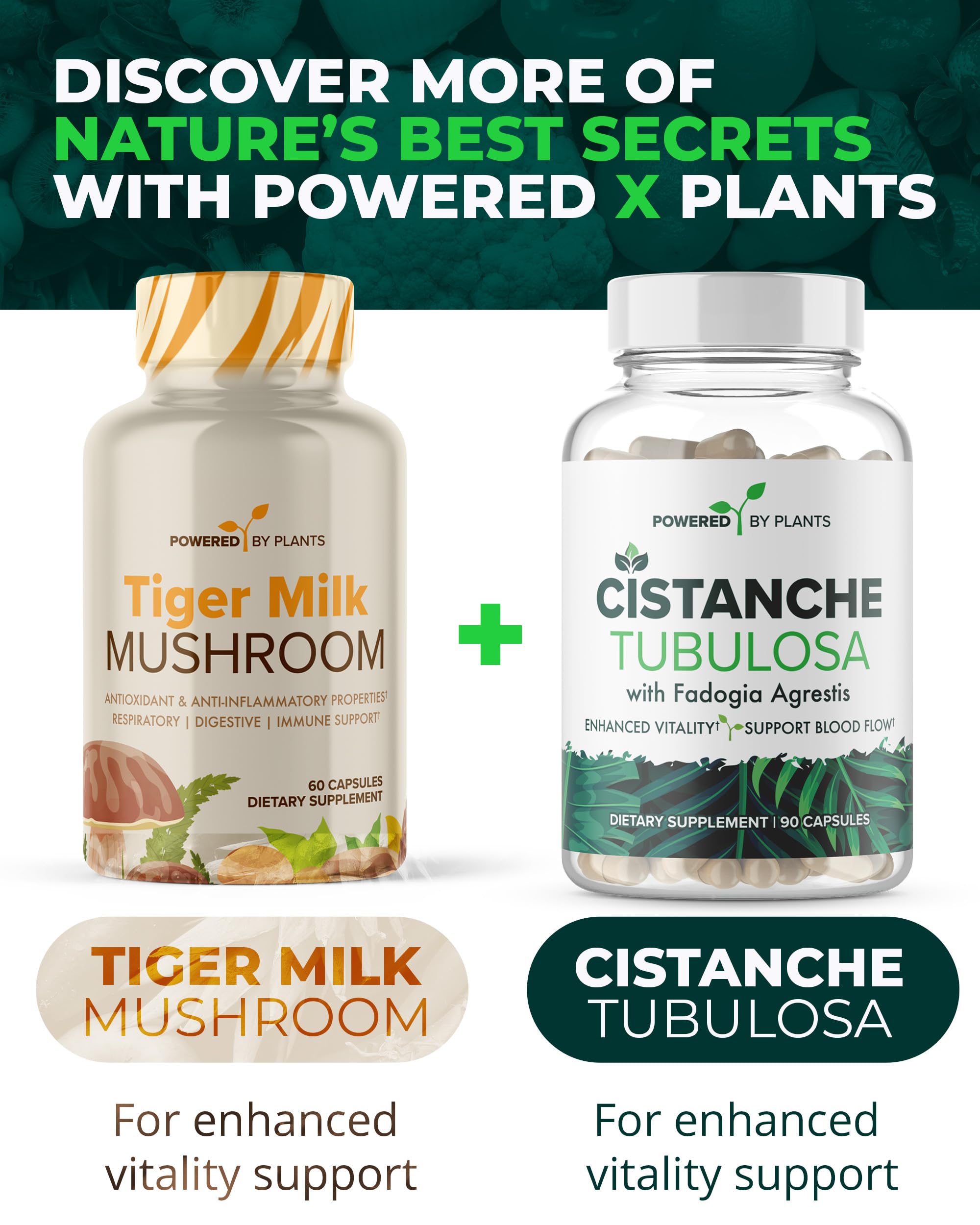 POWERED X PLANTS Hongo Leche de Tigre claridad cognitiva diaria