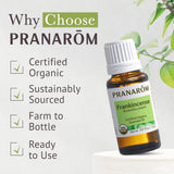 Pranarom aceite esencial de incienso, aroma resinosa para bienestar diario.