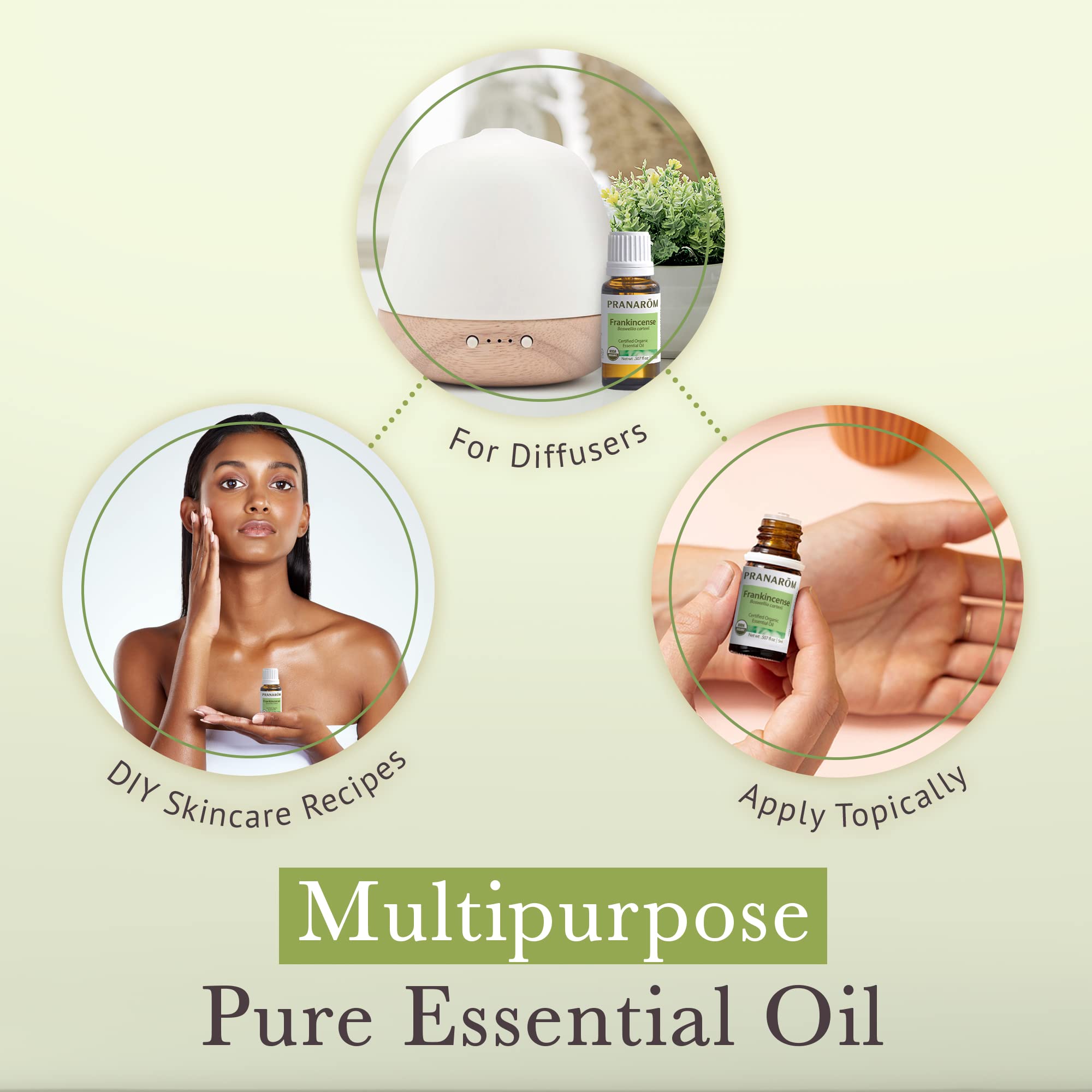 Pranarom aceite esencial de incienso 15 ml, aroma suave para meditación y relajación.