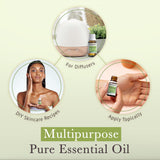 Pranarom aceite esencial de incienso 15 ml, aroma suave para meditación y relajación.