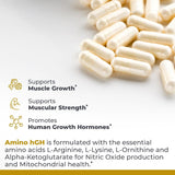 Premier Research Labs Amino HGH: manos sosteniendo cápsulas para uso diario.