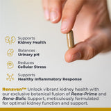 Renaven: ingredientes clave arándano y alfalfa para salud renal.
