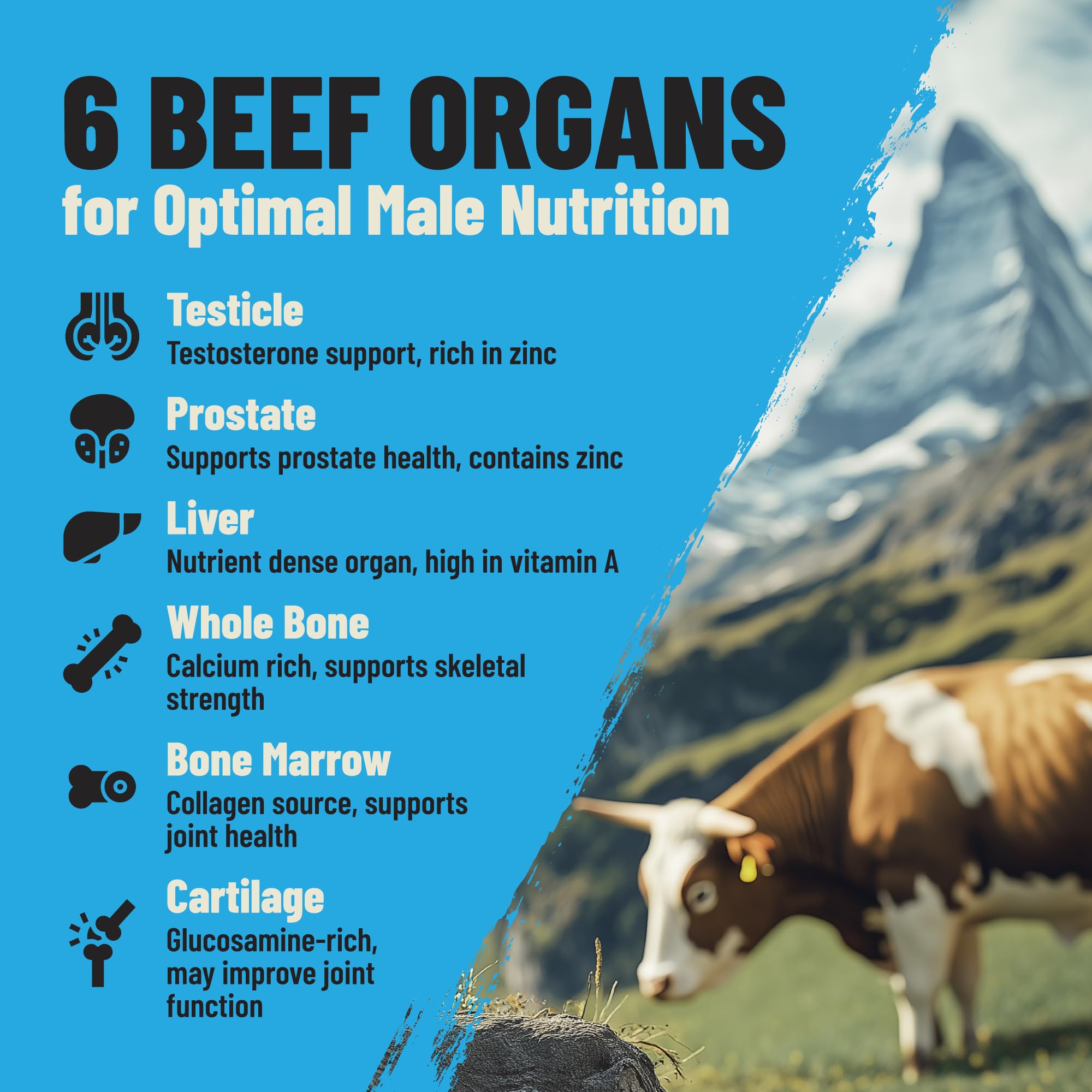 PRIMAL FURY nutrientes clave, zinc y coenzima Q10 para nutrición concentrada.