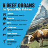 PRIMAL FURY nutrientes clave, zinc y coenzima Q10 para nutrición concentrada.