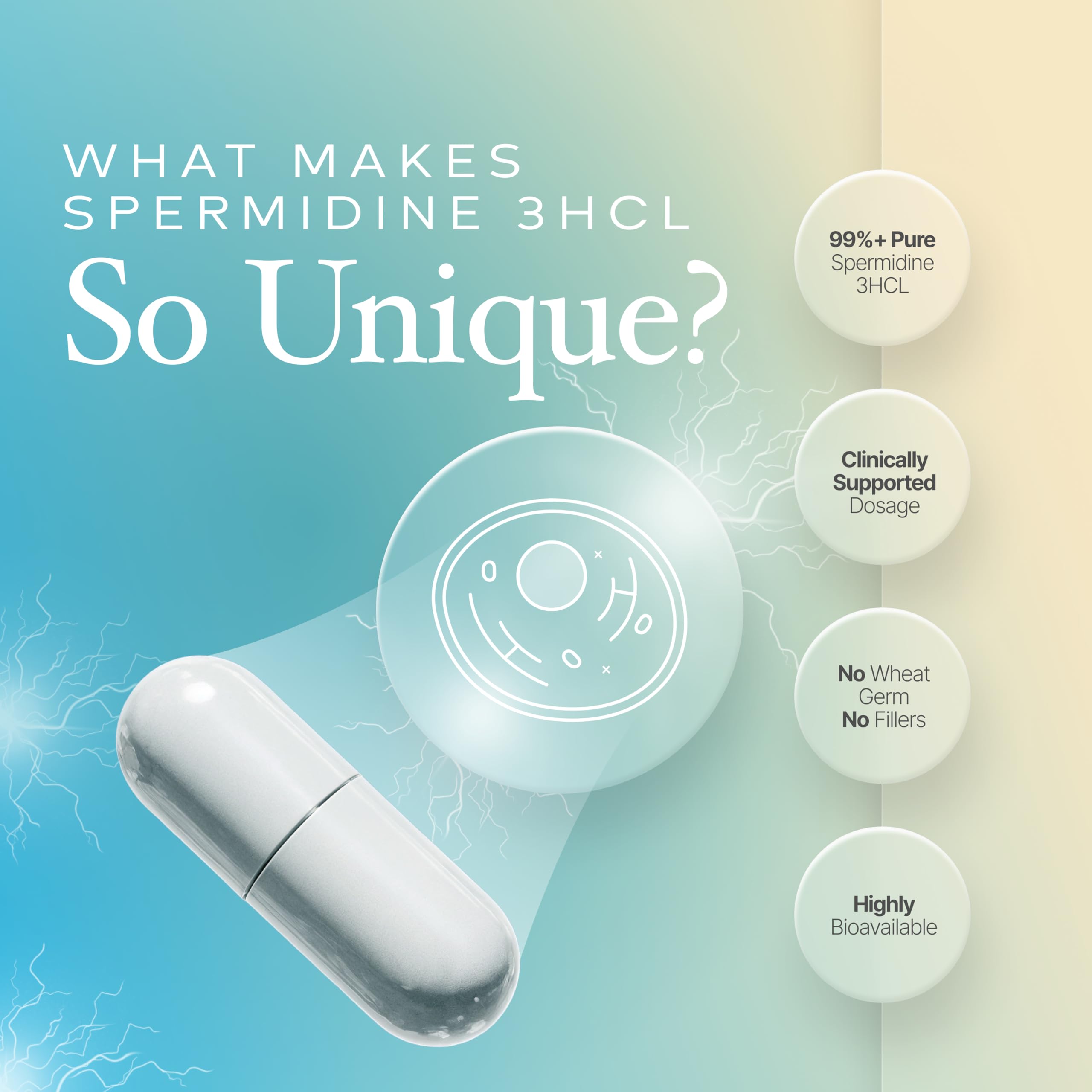 Prime Powders Spermidina: botella lista para la rutina diaria.
