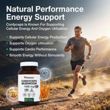 PRISTINE'S Cordyceps: cápsulas con propiedades adaptógenas que refuerzan la resiliencia diaria.