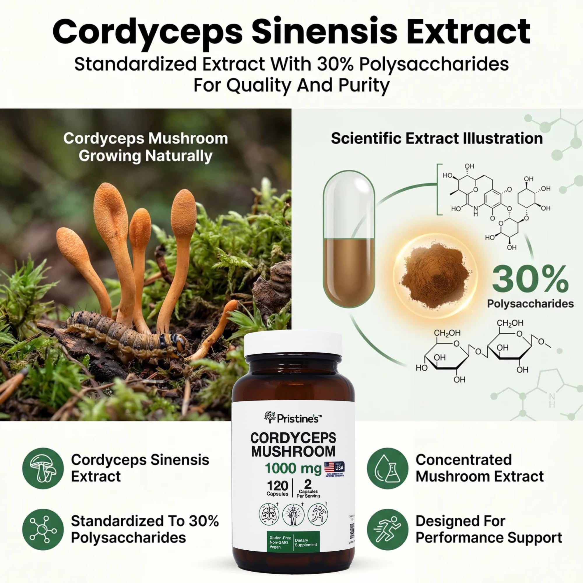 PRISTINE'S Cordyceps: beneficios para la inmunidad y la salud pulmonar.