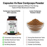PRISTINE'S Cordyceps: cápsulas que pueden acompañar tu rutina respiratoria diaria.