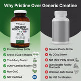 Pristine's Creatine Monohydrate Capsules entrenamiento en casa