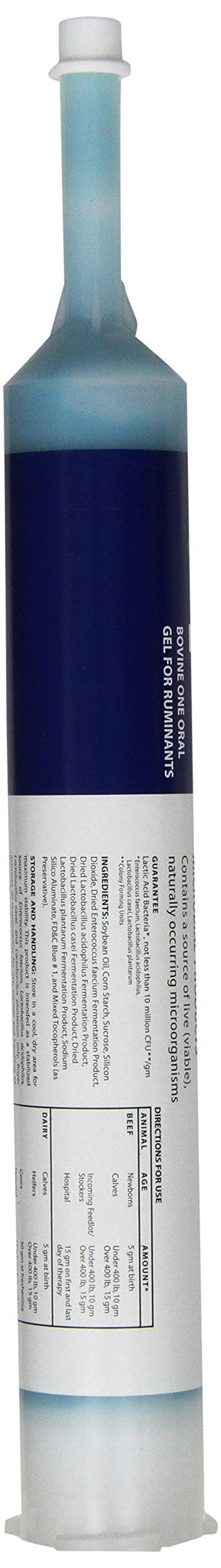 Probios Bovine One Oral Gel: aplicación fácil durante épocas de estrés para rumiantes
