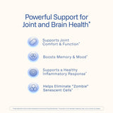 ProHealth Curcuma Curcumin etiqueta frontal, contiene Longvida para mayor biodisponibilidad.