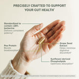 Prominent Nutrition Berberine Phytosome uso diario para bienestar intestinal.