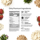 Promix Whey Aislada cuchara y porciones para medir proteínas con precisión.