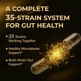 Proriginal Probiotics 5 prebióticos para soporte digestivo en envase