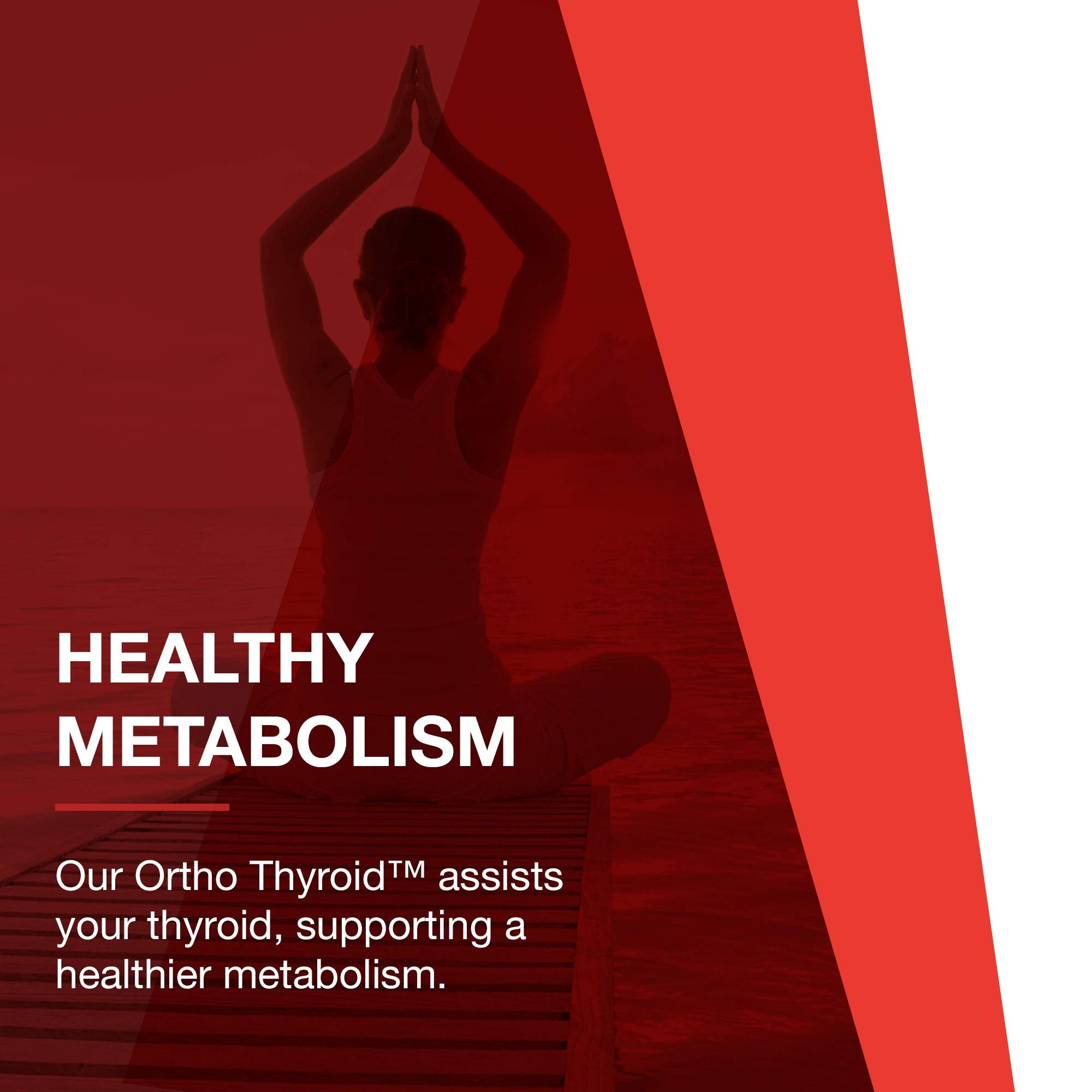 PROTOCOL FOR LIFE BALANCE: certificado kosher