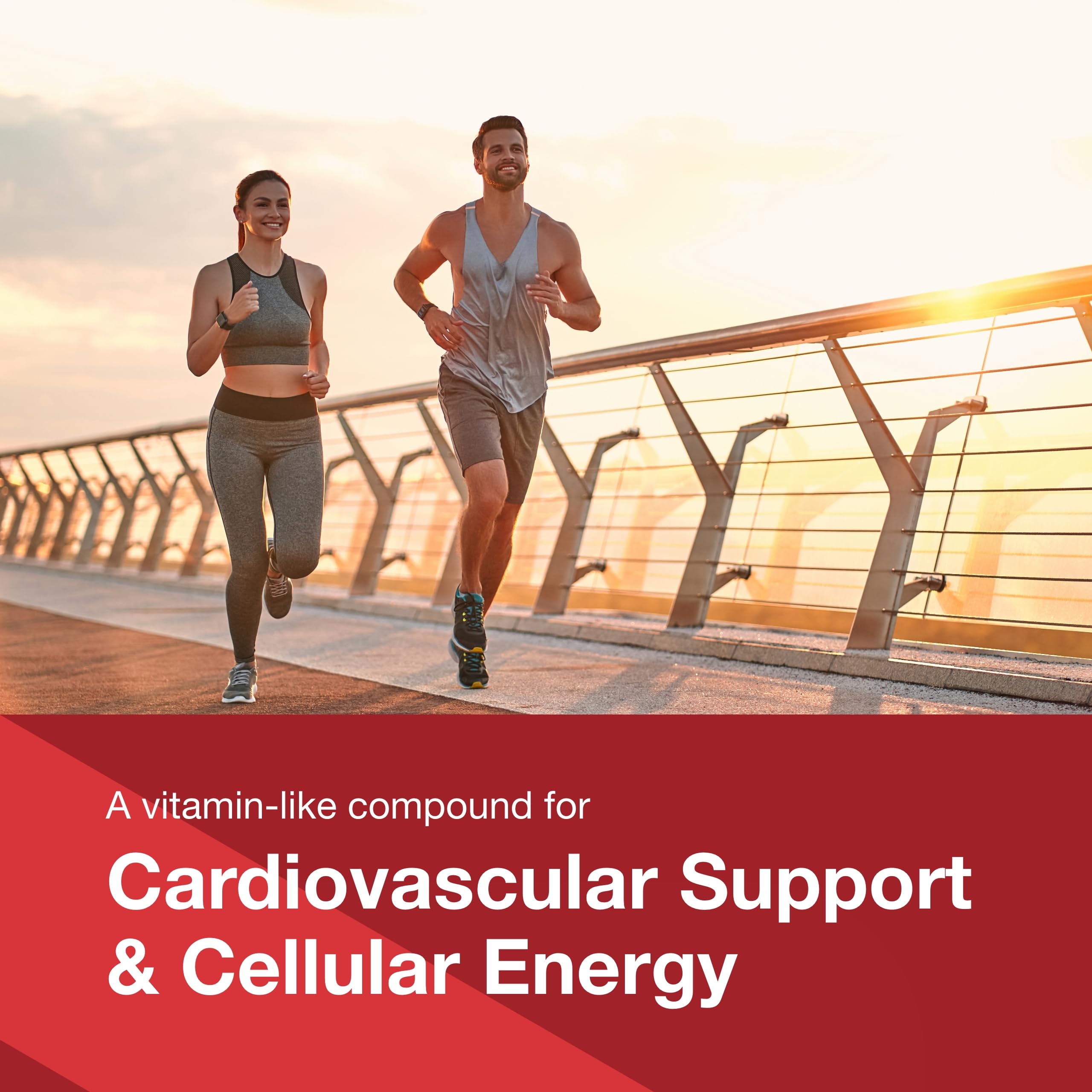 CoQ10 de PROTOCOL FOR LIFE BALANCE, etiqueta, ingredientes veganos y no OGM