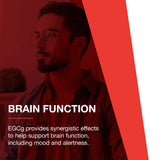 Cápsulas portátiles de PROTOCOL FOR LIFE BALANCE EGCg 200 mg para viaje.