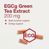 Una comparación visual de té verde para contextualizar el contenido de EGCg.