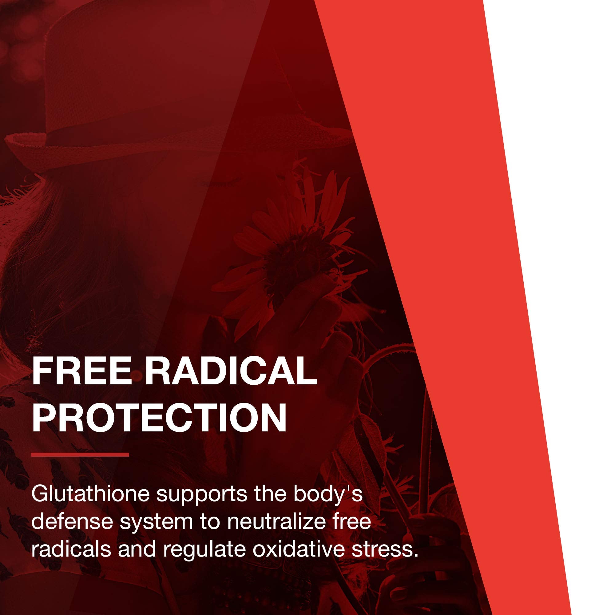 PROTOCOL FOR LIFE BALANCE etiqueta clara, información legible