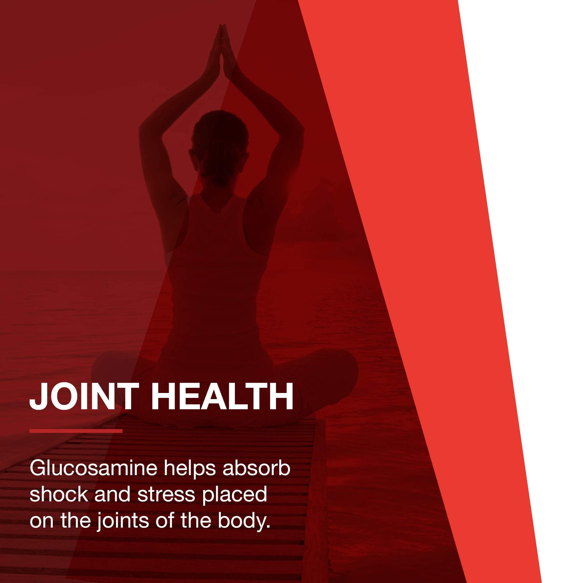PROTOCOL FOR LIFE BALANCE ingredientes glucosamina-condroitina-MSM para articulaciones