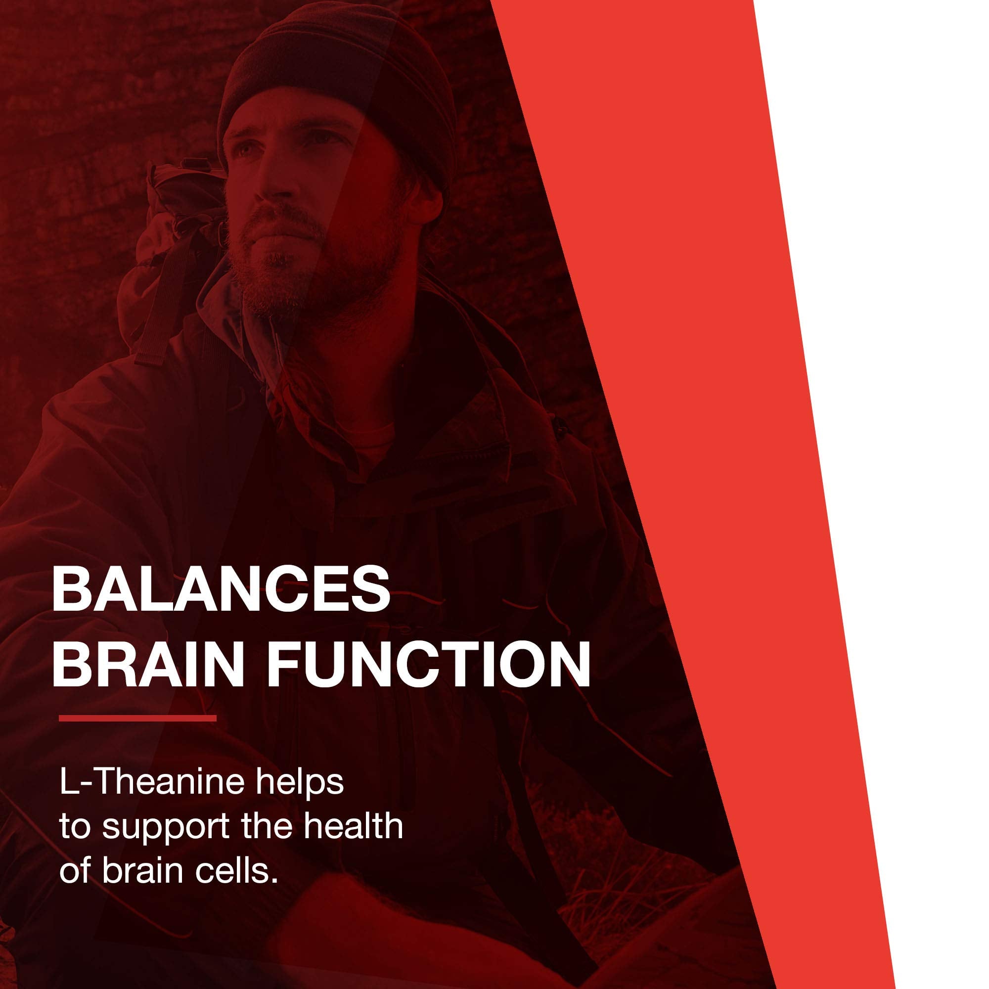 Fábrica GMP que fabrica PROTOCOL FOR LIFE BALANCE L-teanina 200mg.