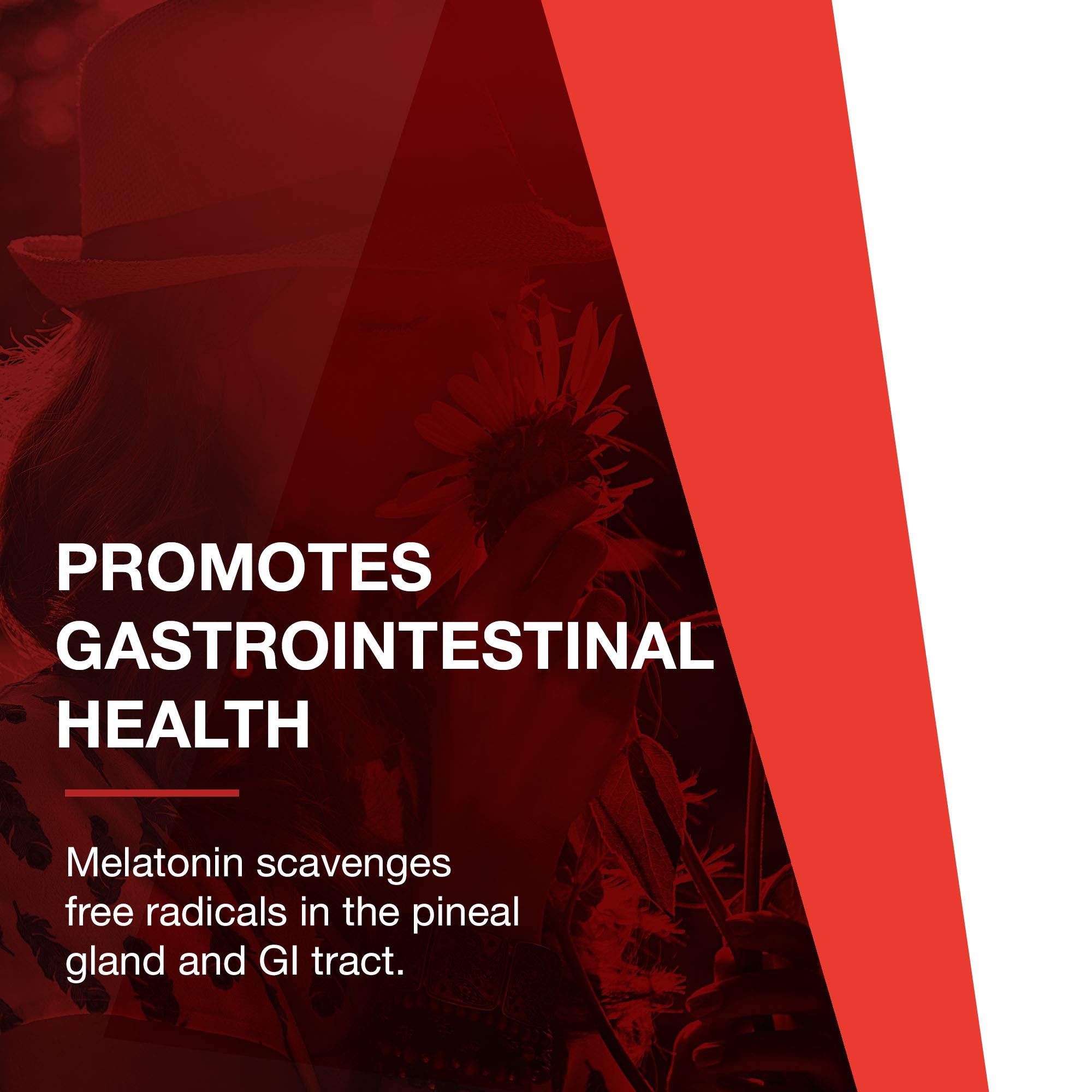 Ingredientes naturales melatonina 3 mg Protocol for Life Balance