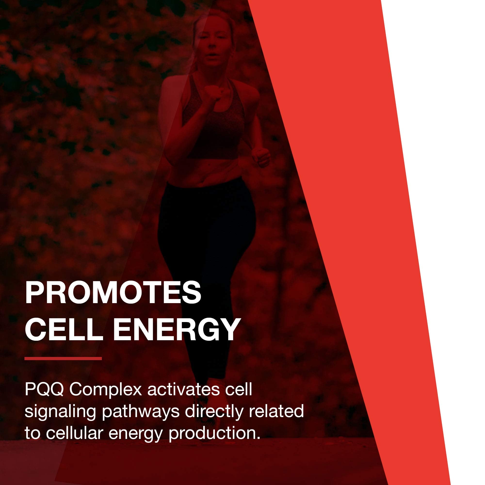 PROTOCOL FOR LIFE BALANCE PQQ Complex tabla nutricional: detalle de coenzimas y nutrientes