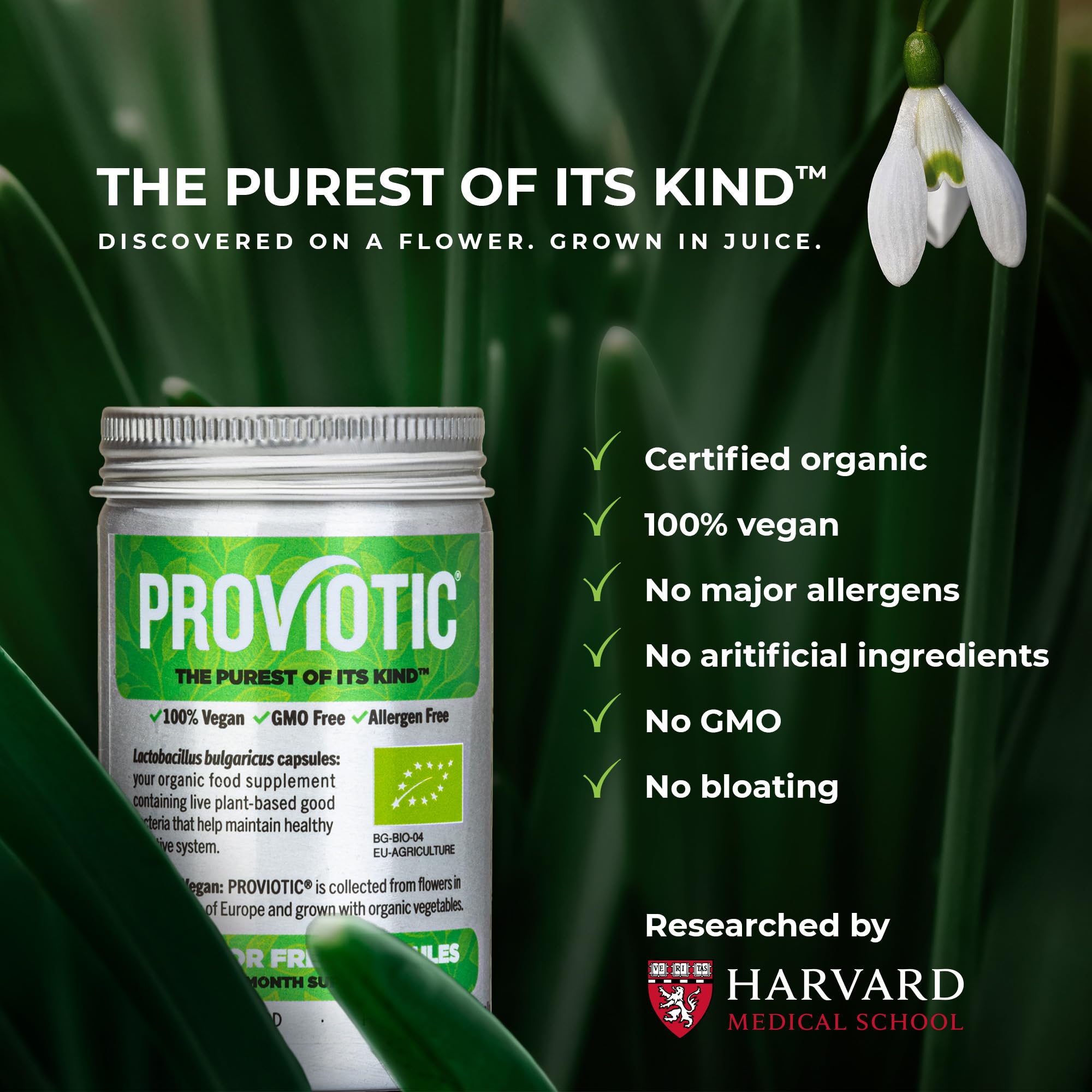PROVIOTIC: cápsulas probióticas veganas en primer plano para uso diario