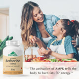 Envase GMP de PROVITA Berberine TPGS garantiza calidad y pureza en cada dosis.