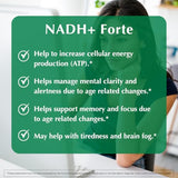 PROVITA NADH+ Forte etiqueta frontal, diseño y credenciales veganas