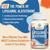 Absorción celular mejorada con liposomas de Prunucis.