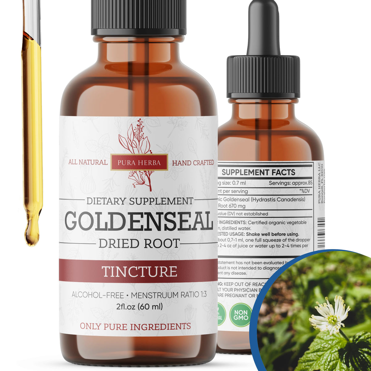 Tintura de Goldenseal de Pura Herba en envase, uso diario fácil