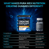 Gominolas PURA WEX con sabor arándano, opción para entrenamientos